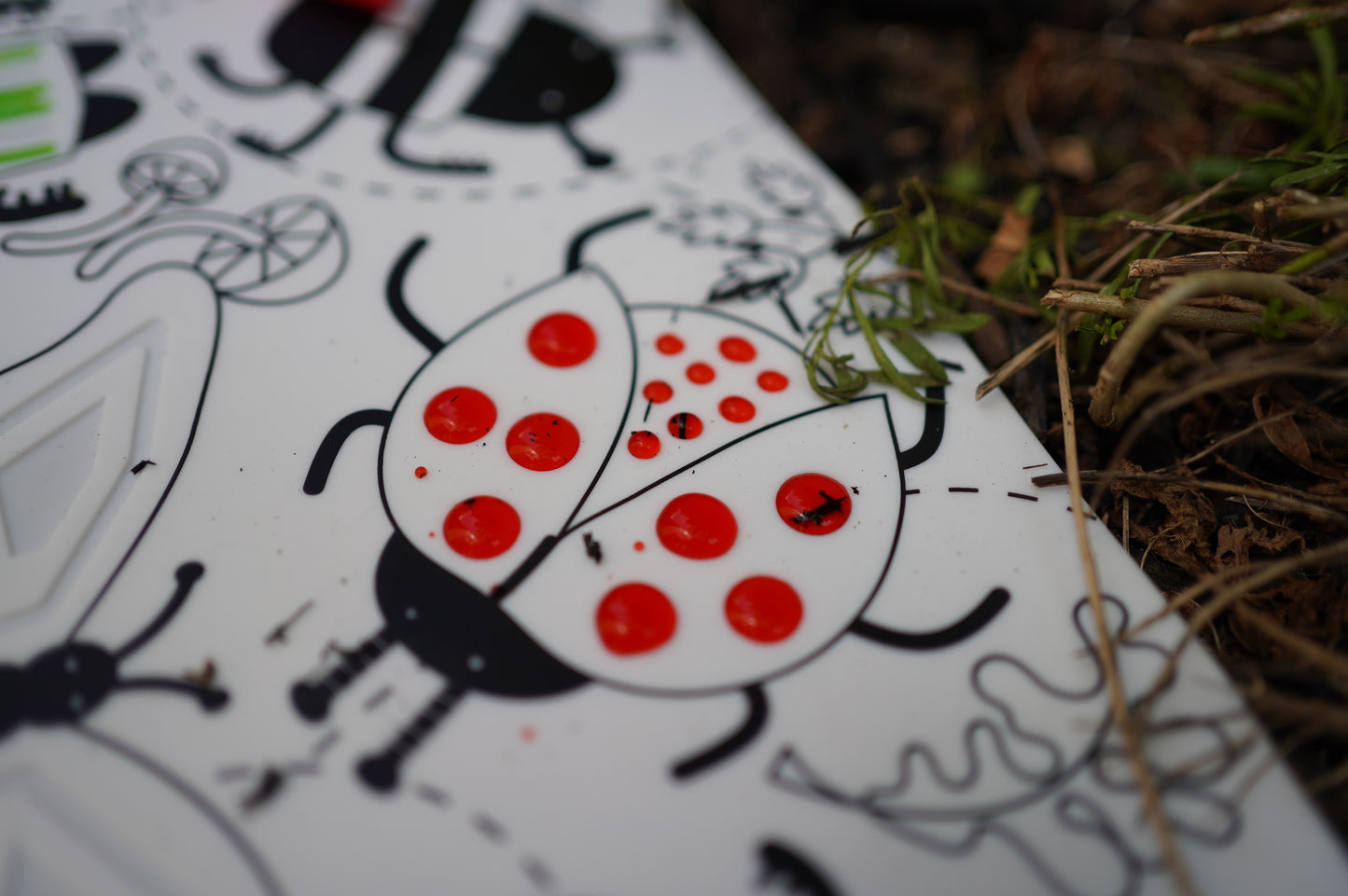 Busy Bugs Sensory Coloring & Doodle Mat