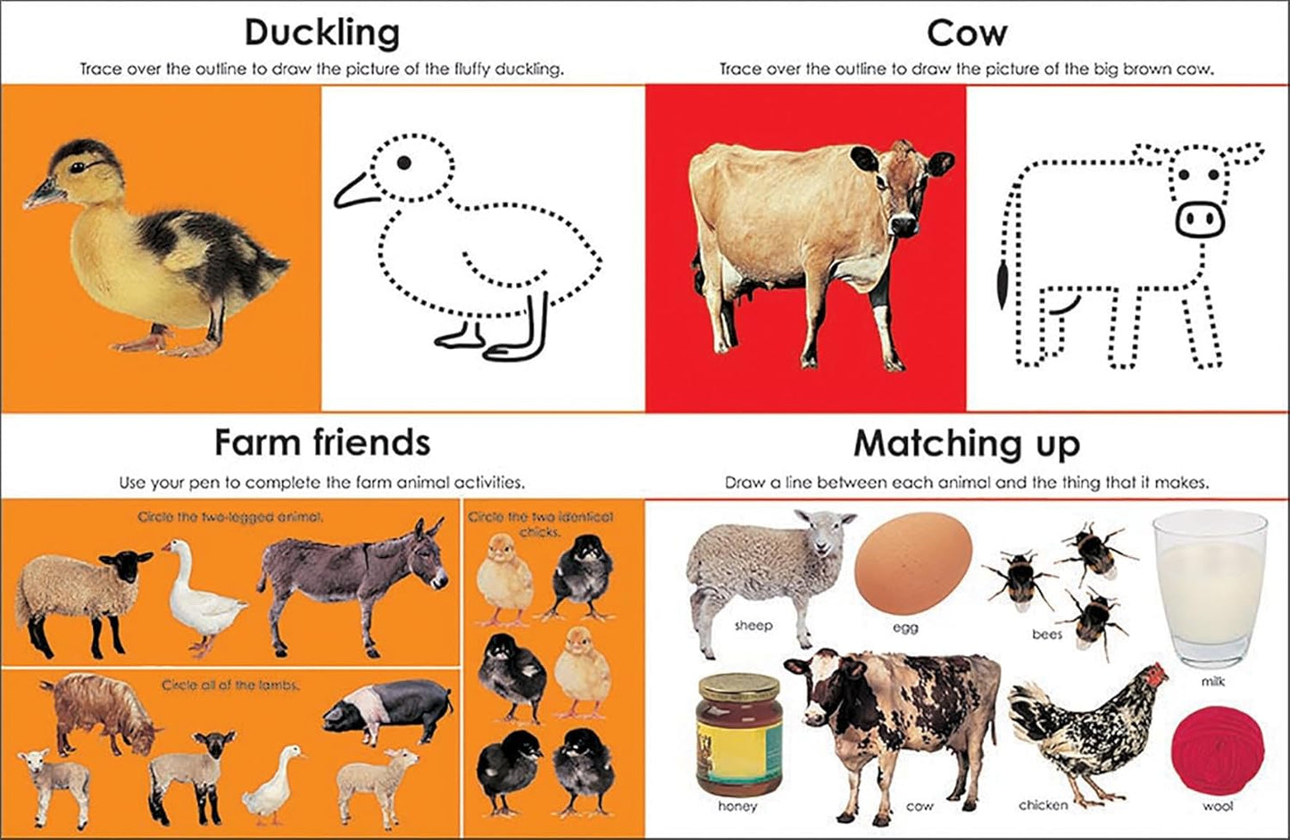 Wipe Clean: Early Learning Activity Book