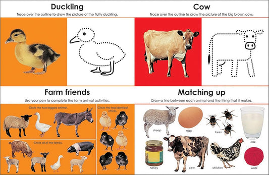 Wipe Clean: Early Learning Activity Book