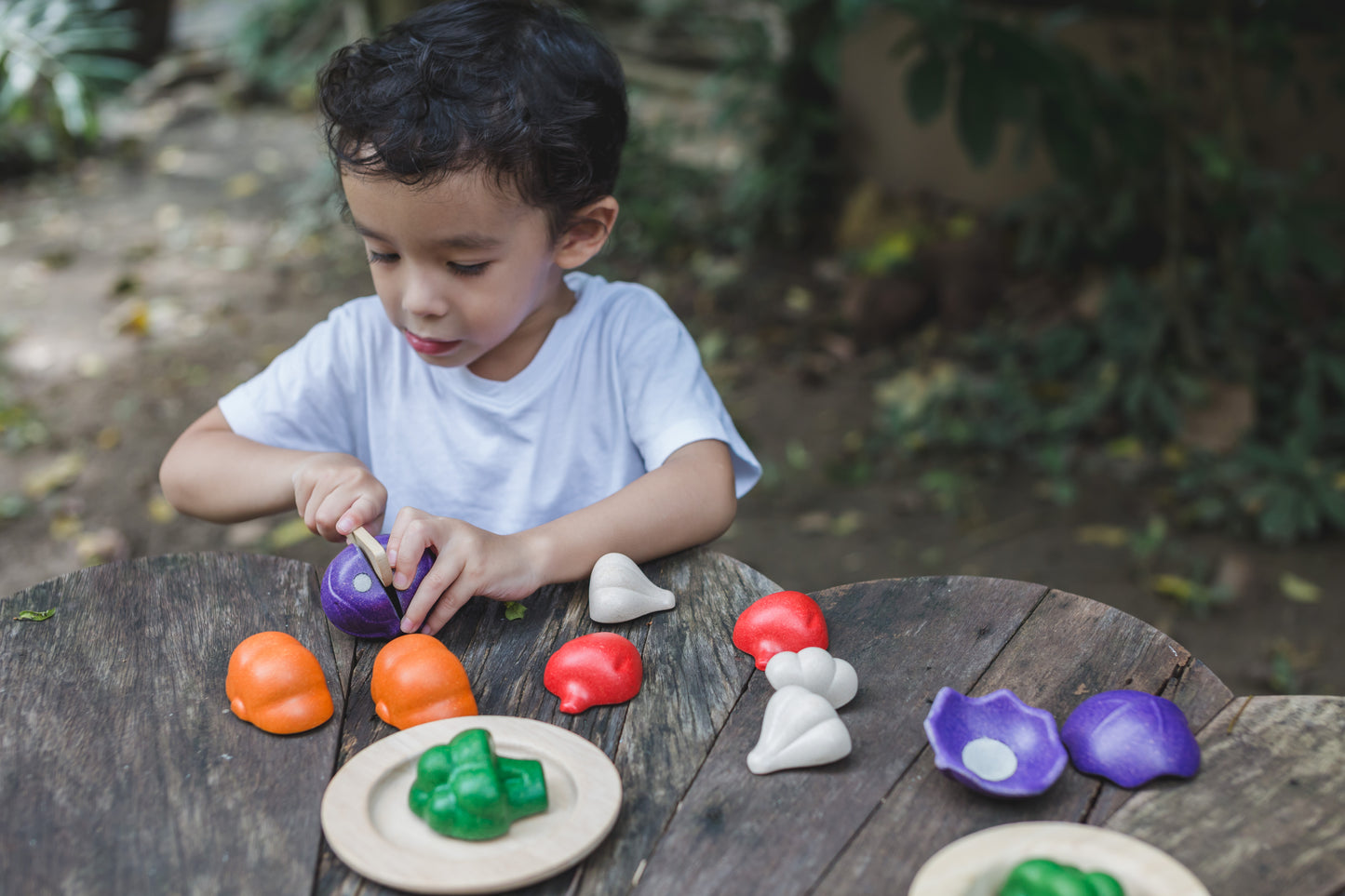 5 Color Veggie Set