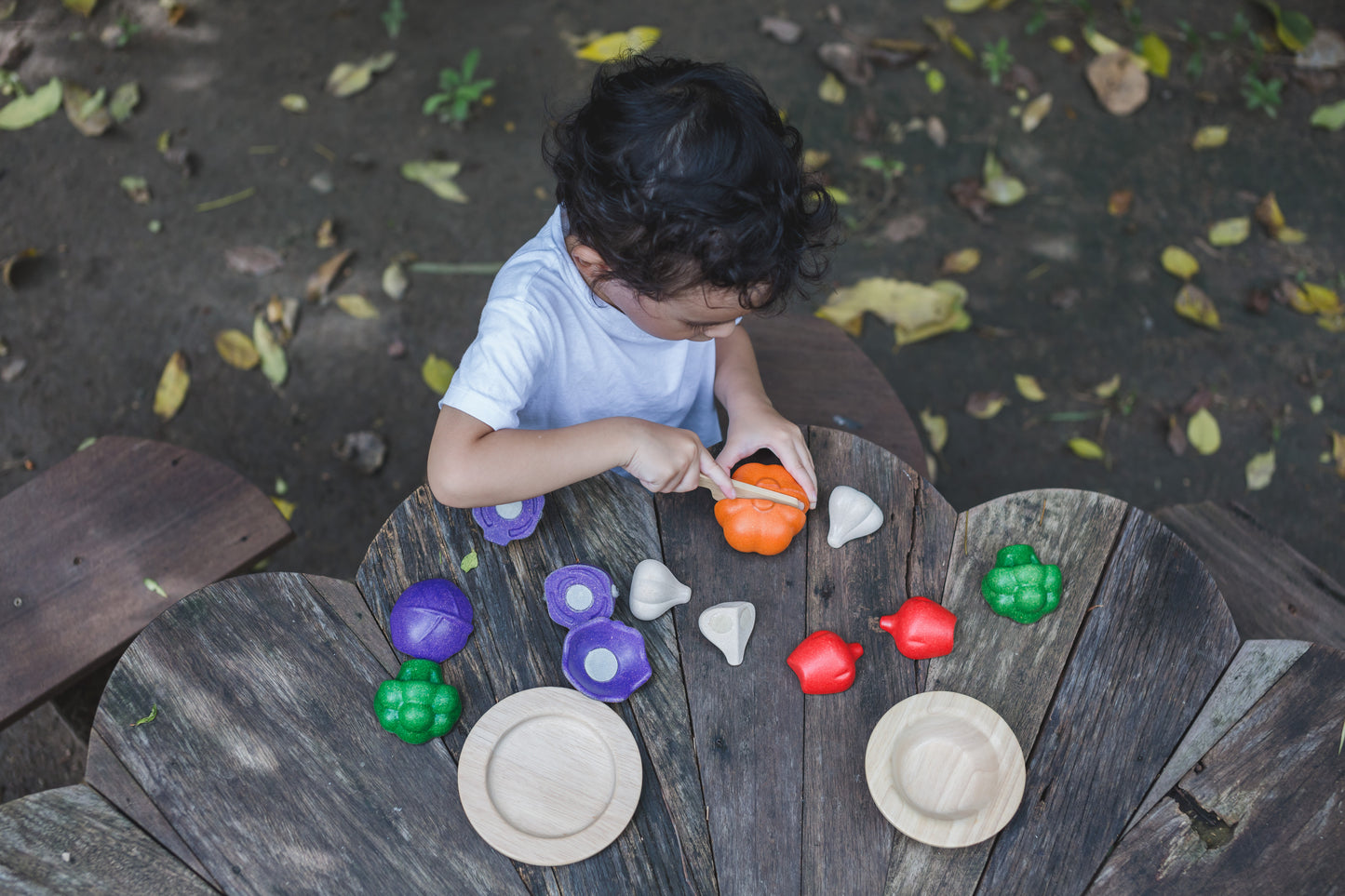 5 Color Veggie Set